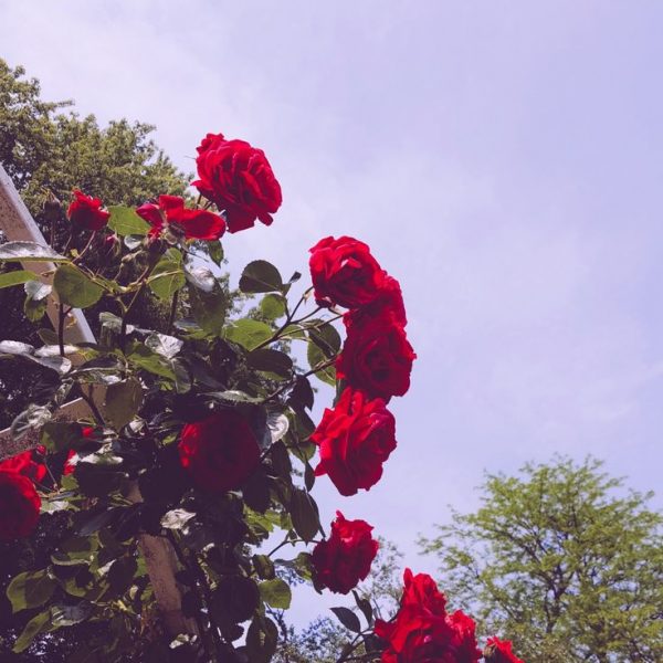 6142b786dc846ef5b53fddc1d828bfa7