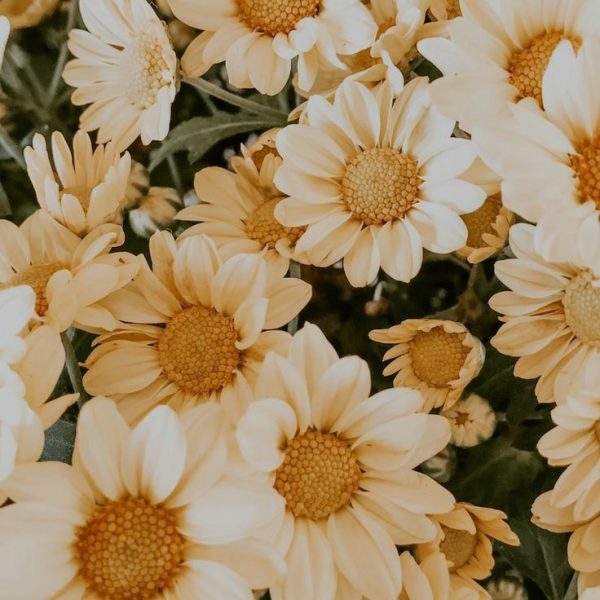 de47d076104b4a0c4b7dec143c395f44